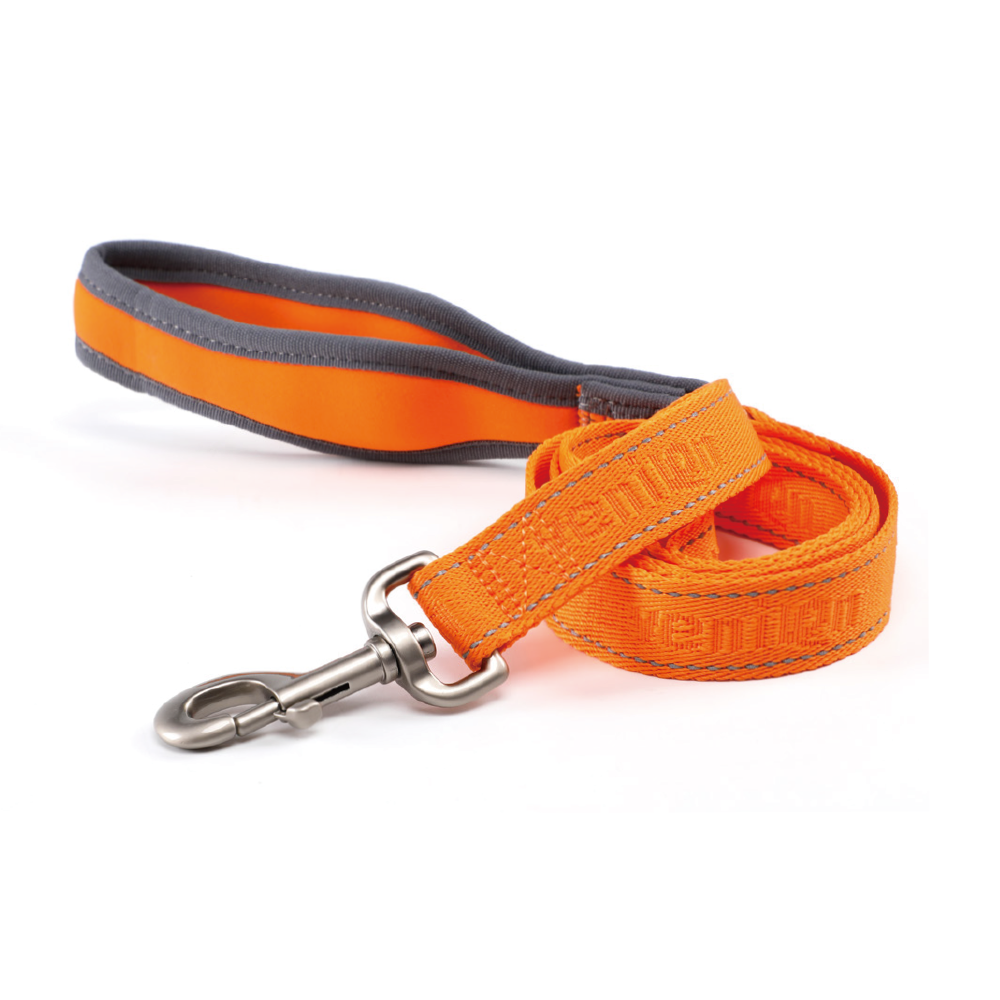 Leash for Dogs